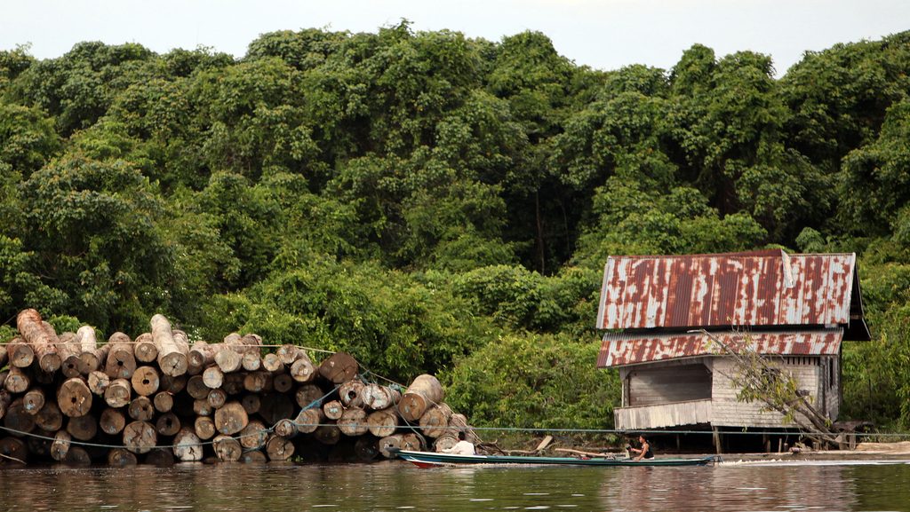 Tumpukan kayu gelondongan hasil penebangan hutan ditambatkan di tepi sungai kawasan pedalaman Kalimantan Barat.