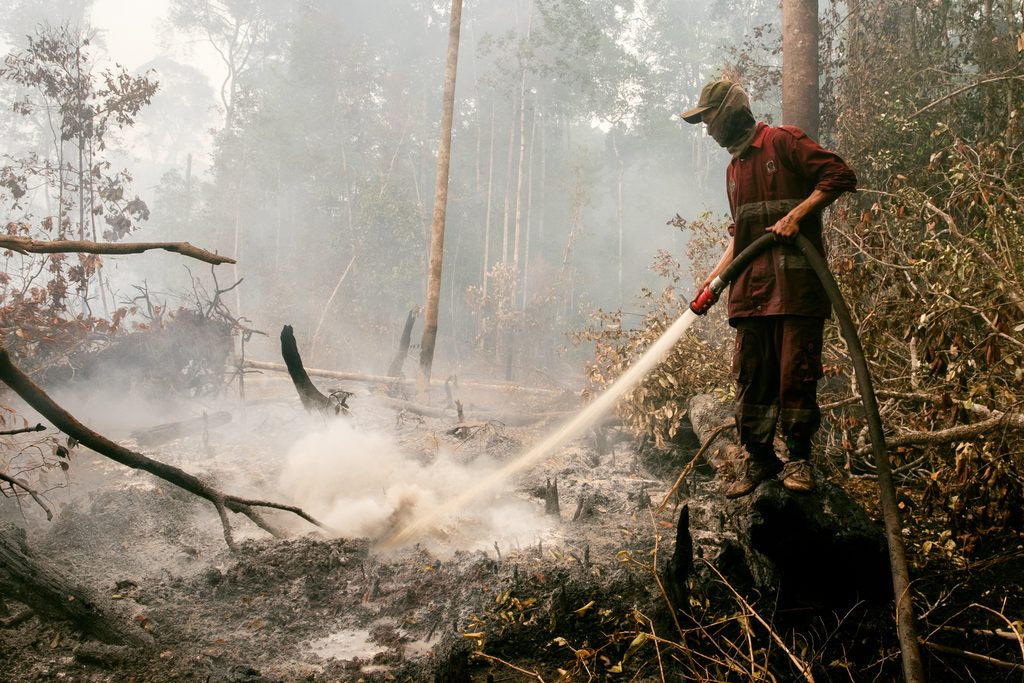 Petugas pemadam kebakaran hutan menyemprotkan air ke bara gambut yang terus mengeluarkan asap pekat di Kalimantan Tengah.