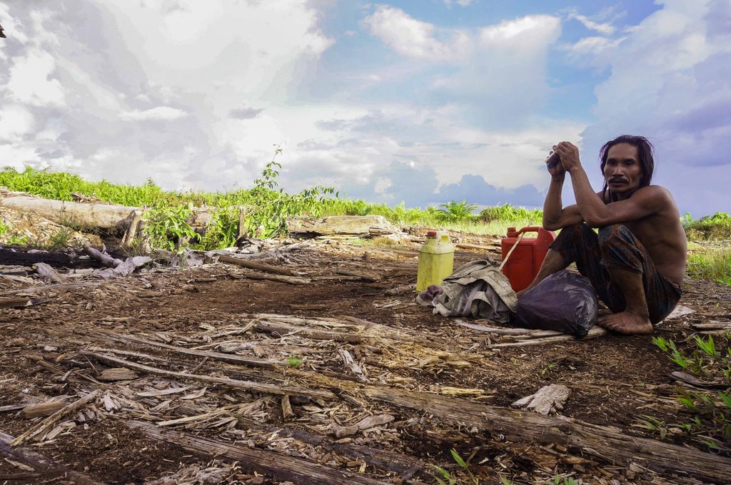 mengais rejeki di tanah sendiri. suku dayak di hutan kalimantan barat